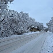 фото Покотиловка ул. Независимости